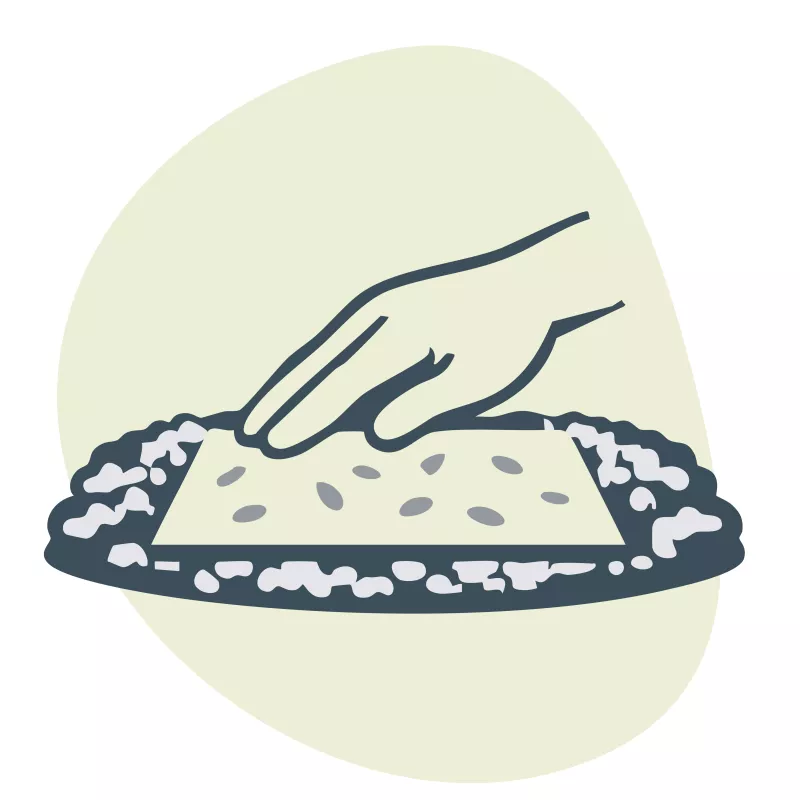 Leg het zaadpapier op goed bewerkte aarde.