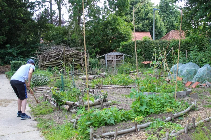 Working in the garden